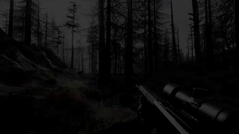 Will to Live Online lance son accès anticipé