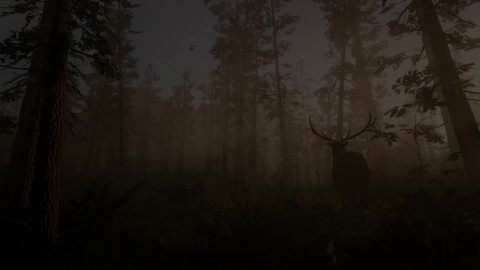 Aperçu du gameplay de Red Dead Redemption II