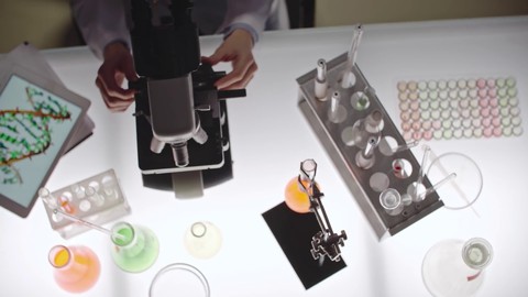 gamescom 2018 - Bande-annonce de Mutant Year Zero: Road to Eden