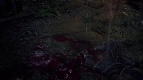 TGS 2018 - Bande-annonce de Sekiro: Shadows Die Twice