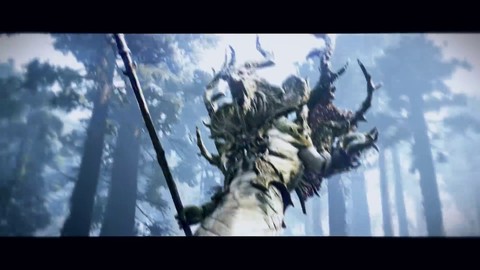 Premier aperçu de l'archer de Black Desert Online