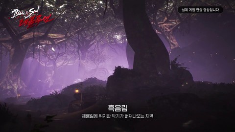 Aperçu de l'univers de Blade & Soul: Revolution