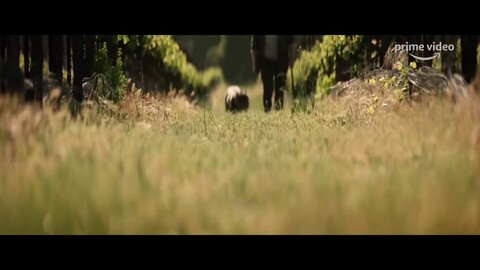 La série Star Trek: Picard diffusée à partir du 23 Janvier 2020 sur CBS