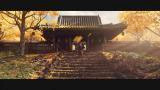 Bande-annonce "La tempête approche" de Ghost of Tsushima