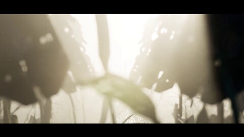 Aperçu des Exosquelettes de Last Oasis