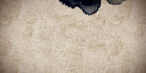 Bande-annonce de la série d'animation Ark: The Animated Series