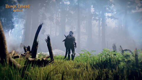 Aperçu de l'Archer de Black Desert Mobile