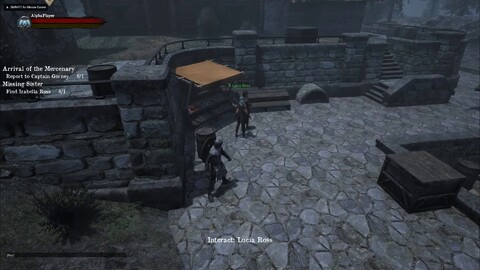 Premier journal de développement du MMORPG Past Fate