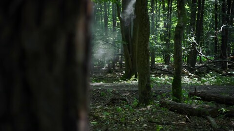 Première bande-annonce de The Witcher: Monster Slayer