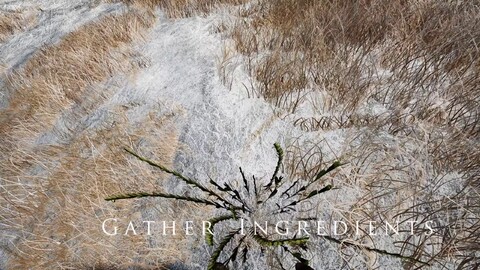 Aperçu de la mise à jour 1.0.3 de Mortal Online 2