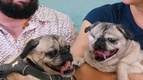 The Jackbox Party Pack 9 sortira le 20 octobre 2022