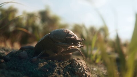 Creative Assembly annonce Total War: PHARAOH