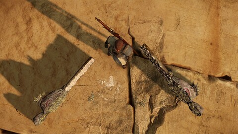 Présentation de l'épée longue de New World