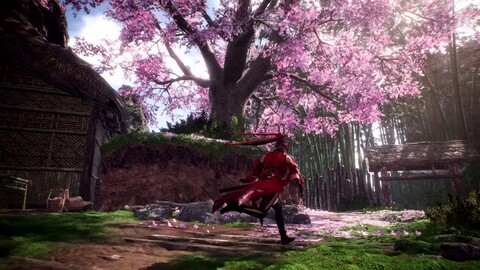 Aperçu de la collaboration Wo Long: Fallen Dynasty x Naraka: Bladepoint