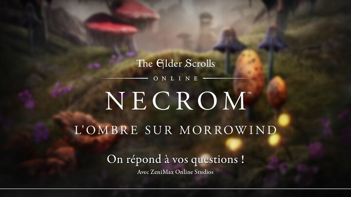 Vidéo FAQ de la communauté de The Elder Scrolls Online