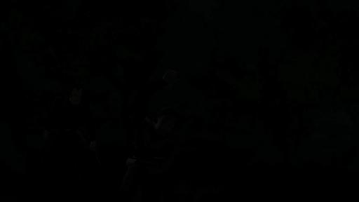 Vampires contre loups-garous