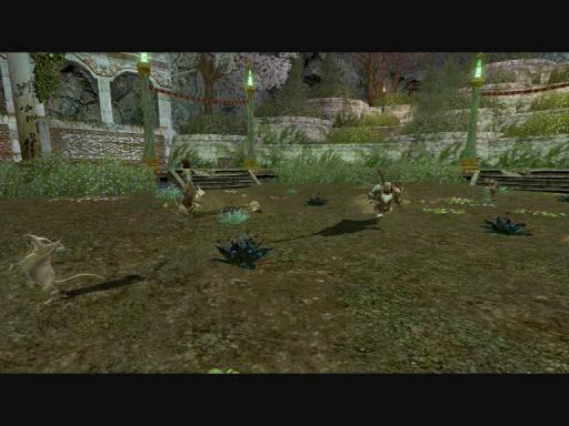 Festival de printemps - LOTRO