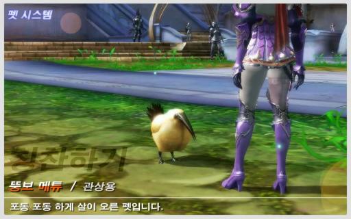 Les animaux de compagnie d'Aion 2.0