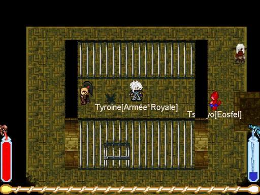 La quête des elfes noirs