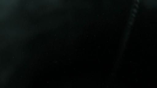 Comic-Con 2010 : premier trailer de Kingdoms of Amalur: Reckoning