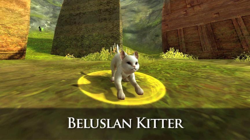 Pet cadeau d'Assault On Balaurea : Beluslan Kitter