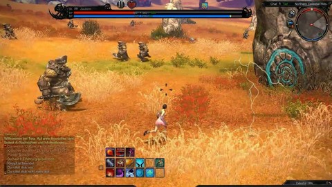 Les classes de Tera : le sorcier