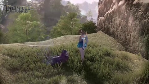 Aperçu des compagnons de Perfect New World