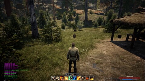 Chasse au sanglier : aperçu de la zone de départ du MMORPG Eternal Tombs