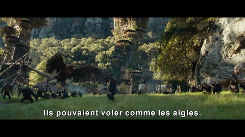 Bande-annonce officielle du film La Planète des Singes : Le Nouveau Royaume (VOSTFR)