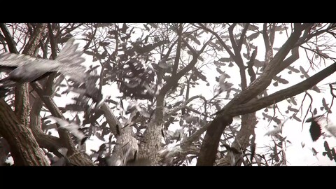 Crimson Desert jouable au G-Star 2024 : aperçu de Hexe Marie