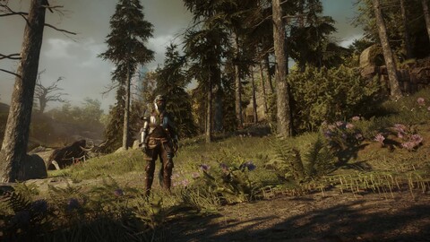 Teaser : aperçu des prochaines mises à jour de Soulframe