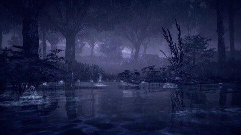 La surprise du TGA 2024,  Elden Ring Nightreign