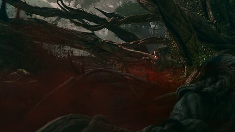 Premier aperçu de l'ARPG Project Windless