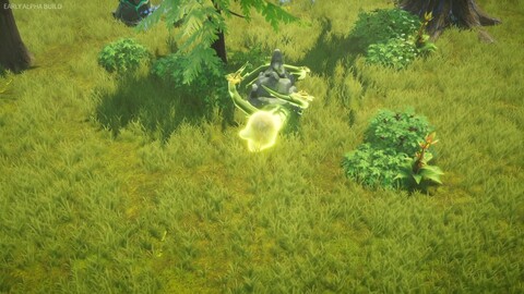 Présentation de Never Wither qui sera en playtest le 29 mai