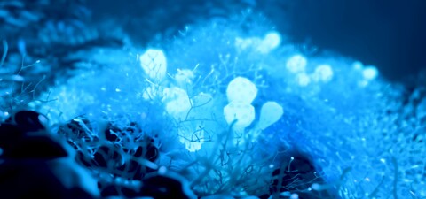 Enshrouded accueille sa nouvelle mise à jour, Serviteurs des Ténèbres