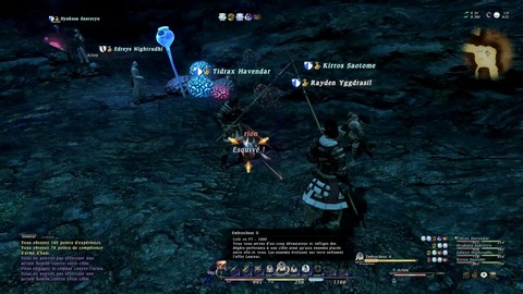 Combat en équipe sur FFXIV