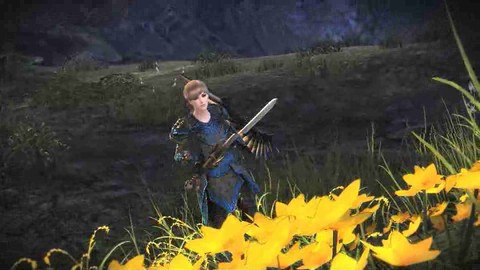 Compétence du gardien : défense zélée