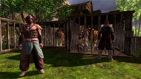 Les Tigres de Tamarin