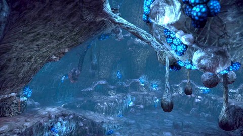 Les horreurs d'Arachnaea