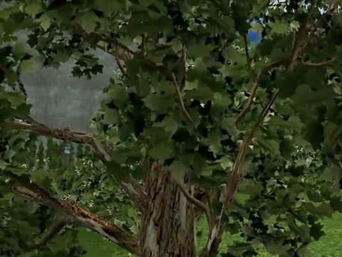 Bande-annonce d'Obsession, l'Epic VII part 2 de Rappelz