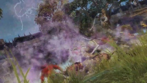 Les combats de Guild Wars 2