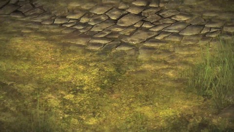 Les compétences du voleur