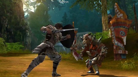 Compétences de guerrier dans NED