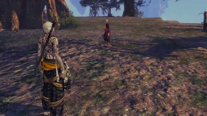 Compétences du Blade Master : Attaques frontales