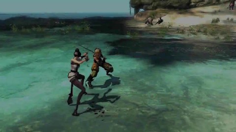 Compétence du Kung-fu Fighter : Contournement et attaque sournoise