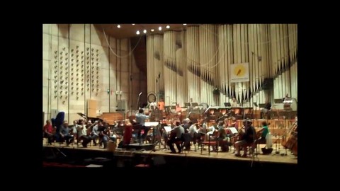 La musique de Torchlight II