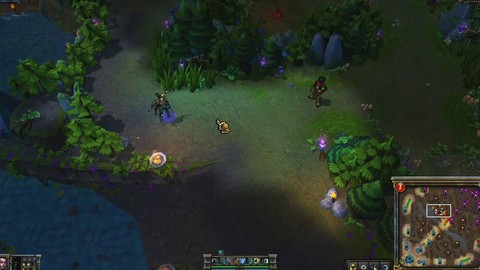 Vayne Champion Spotlight