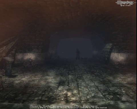 Exploration des donjons de Wizardry Online