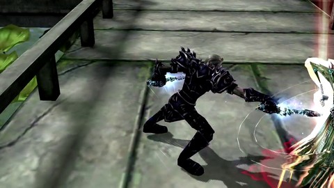 L'assassin de Warrior of Dragon