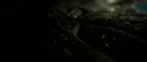 Première bande-annonce cinématique d'Anmynor